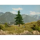 Sapin Nordmann - NOCH 21810 - HO / TT / N - hauteur 120 mm - 2