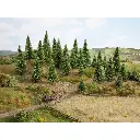 Pack de 25 sapins miniatures Noch 32820 - N / Z - 35 à 90 mm - 4