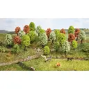 Pack de 25 arbres de printemps - NOCH 26806 - HO 1/87 & TT 1/120 - Hauteur 35 à 90 mm - 2