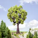 Arbre Grand Chêne - NOCH 21761 - HO / O - hauteur 190 mm - 2