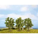 Pack de 3 arbres fruitiers Noch 25110 - HO | TT - hauteur 80 mm - 2