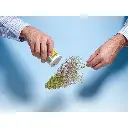 Arbres naturels avec bombe - Noch 23100 - 4