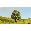 Pommier - Noch 20145 - HO 1/87 - 2