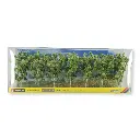 Pack de 7 bouleaux Noch 25096 - Ho, TT, N, - Hauteur 100 mm - 3