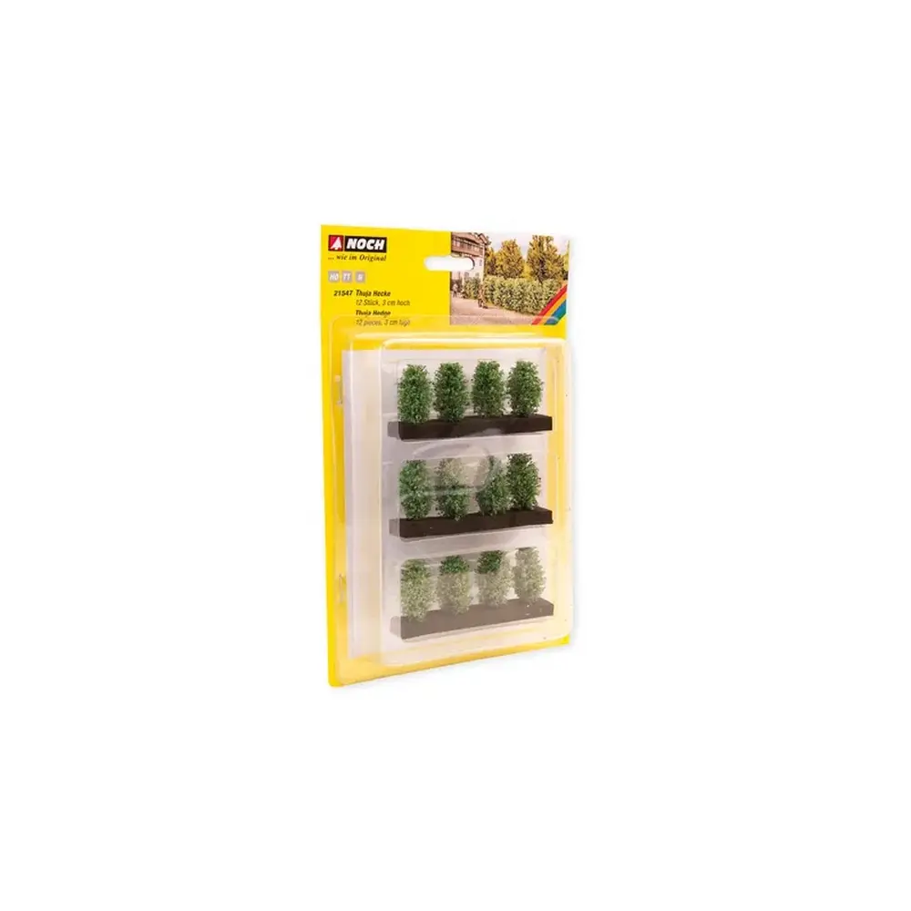 Haie de Thuyas - Noch 21547 - HO/TT/N - 3