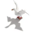 10 animaux de la ferme - Noch 36711 - N 1/160 - 2