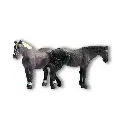 Lot de 9 animaux de la ferme - Noch 15713 - HO 1/87 - 9 pièces  - 2