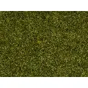 Sachet Herbe "sauvage" 50g 9mm NOCH 07118 - Toutes échelles - 3