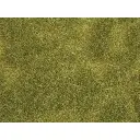 Lot de 2 Tapis "prairie luxuriante" NATUR+ NOCH 07470 - HO 1/87 - 250 x 250 mm - 6
