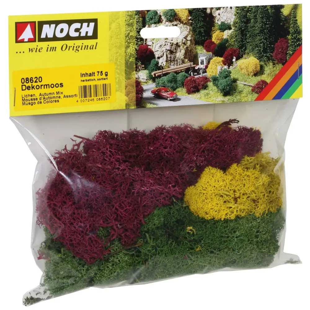 Mousse lichen couleurs d'automne - Noch 08620 - Toutes échelles - 75 g - 2