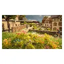 Lot 250 touffes de fleurs - rouge/bleu/jaune/rose/blanc NOCH 06800 - HO 1/87 - 3