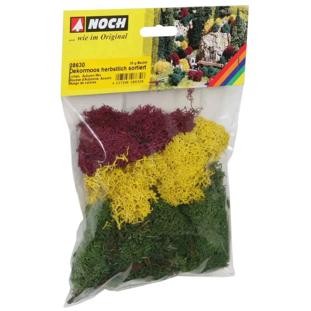 Mousse lichen couleurs d'automne - Noch 08630 - Toutes échelles - 35 g - 2