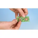 Nénuphars - Noch 14140 - HO 1/87 - 3