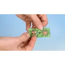 Fleur de lotus - Noch 14114 - HO 1/87 - 3