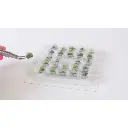 Touffes d'herbes PROFI "Herbe sèche" - Noch 06910 - HO 1/87 - 2