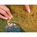 Tapis d'herbe de prairie vert moyen 200x230 mm NOCH 07291 - Toutes échelles - 4