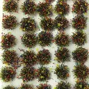 Lot de 100 touffes d'herbes fleuries - PECO PSG51 - 2