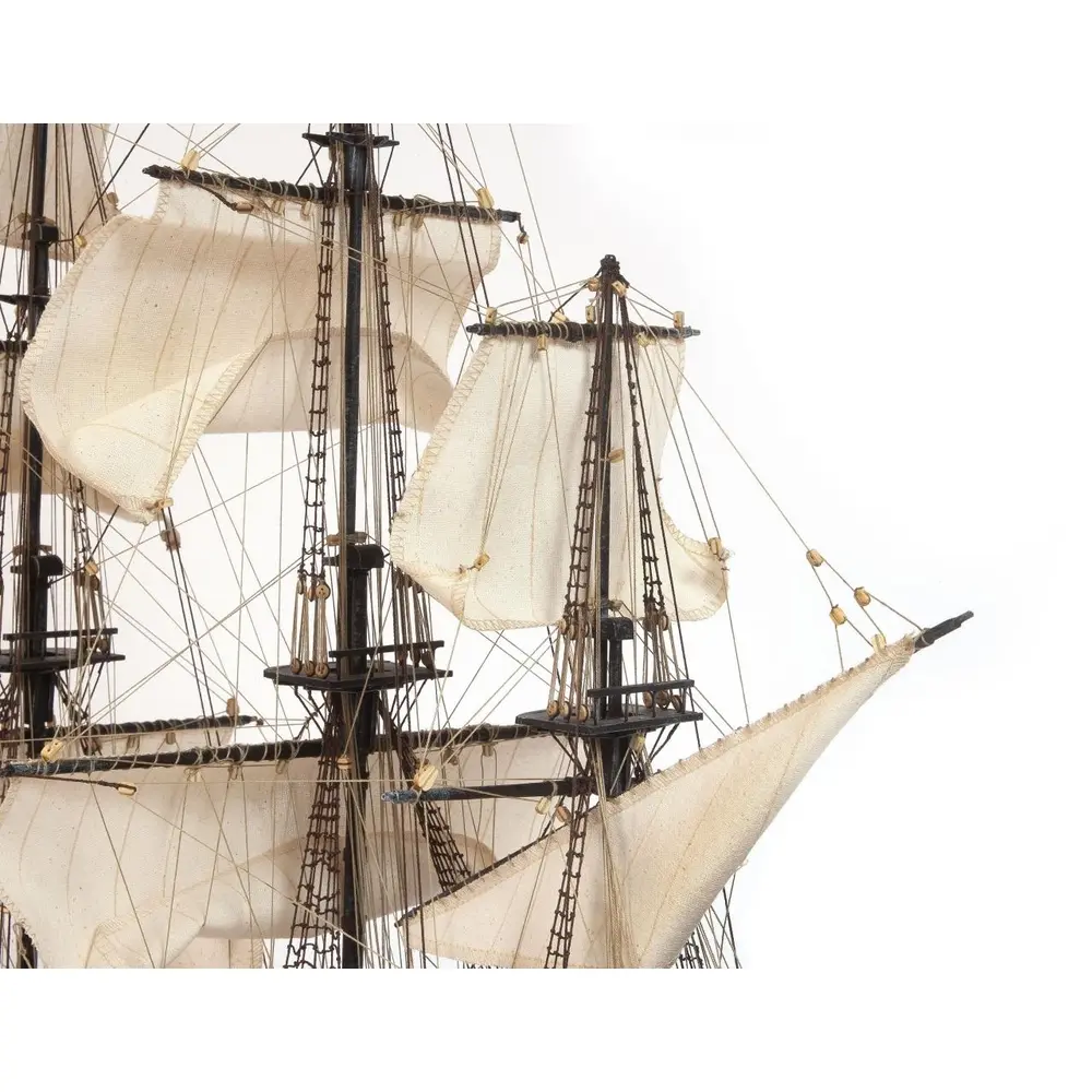 Bateau Black Swan - Occre 12012 - 1/75 - 5