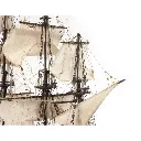 Bateau Black Swan - Occre 12012 - 1/75 - 5