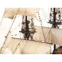 Bateau Black Swan - Occre 12012 - 1/75 - 10