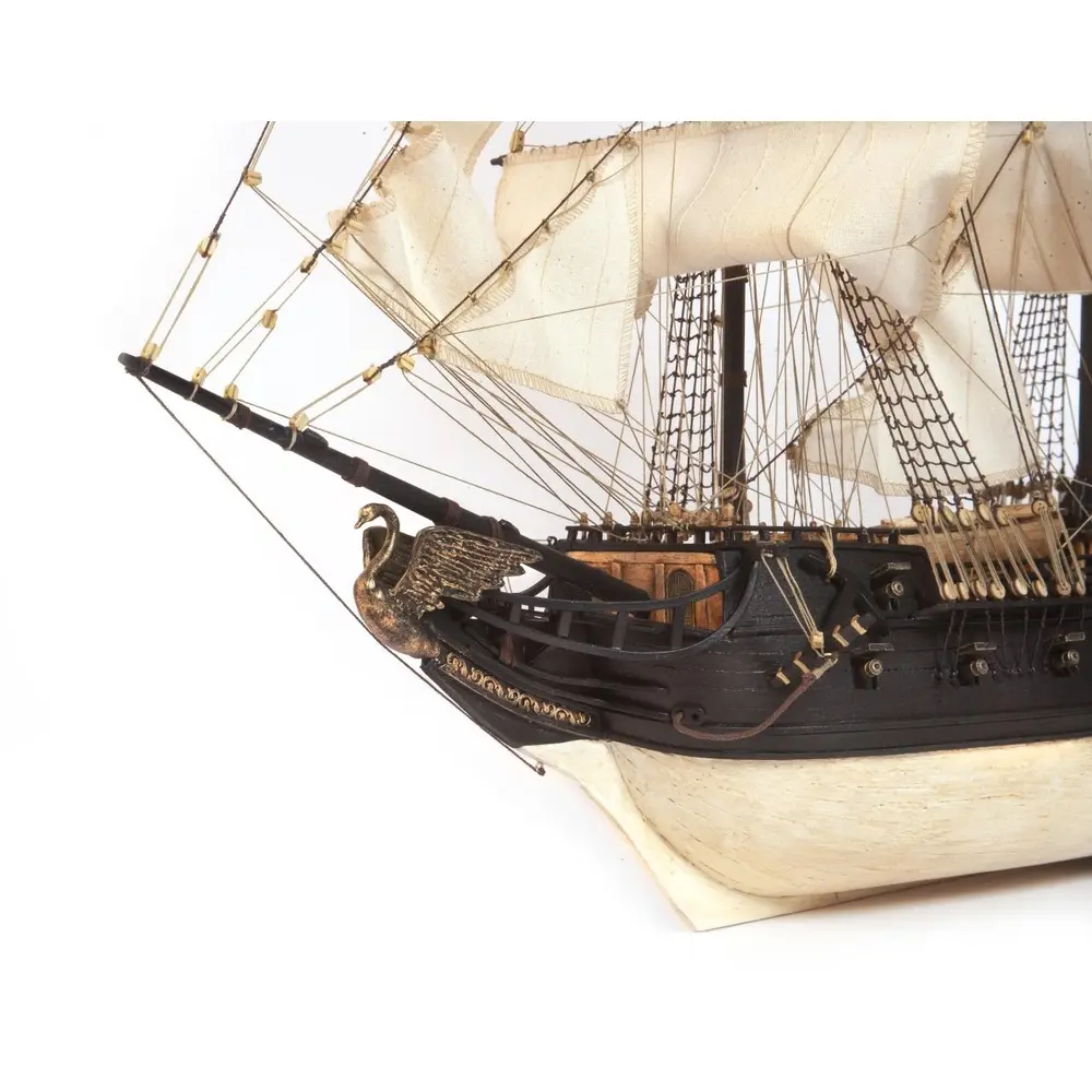 Bateau Black Swan - Occre 12012 - 1/75 - 4