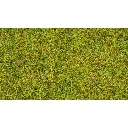 Herbe dispersée « Prairie d'été » - Noch 50190 - 100 g  - 2