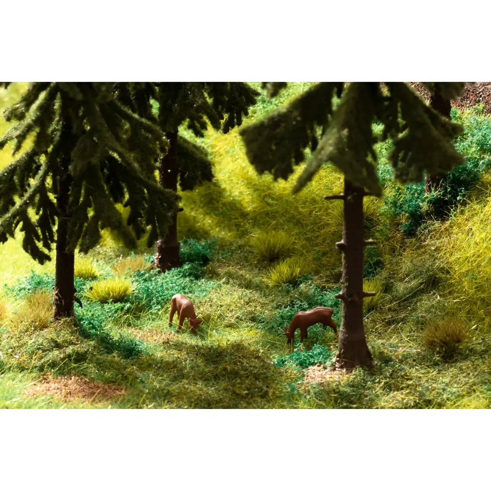 Set de départ végétation "En forêt" - Noch 60772 - Toutes échelles - 97 g - 5