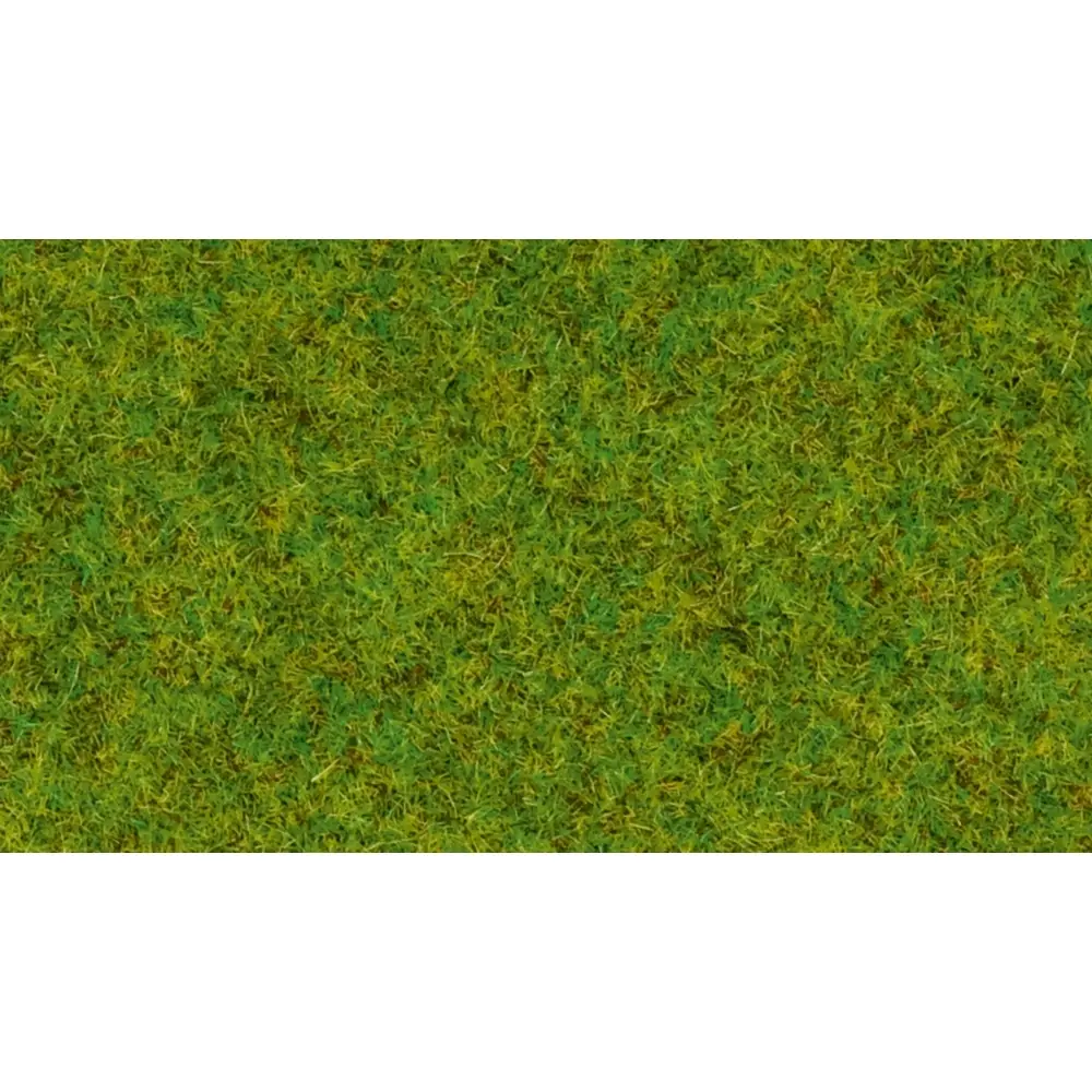 Herbe dispersée « Prairie printanière » - Noch 50210 - 100 g - 2