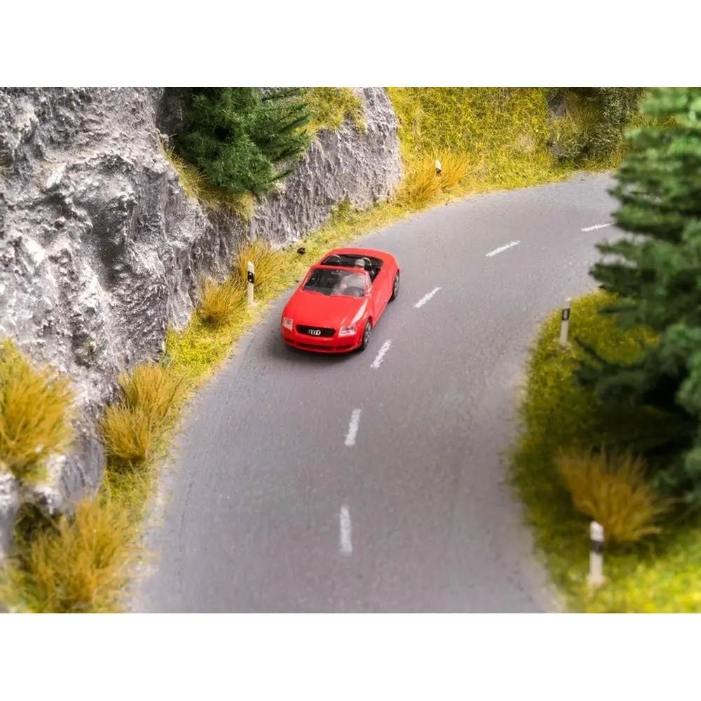 Peinture pour route - Gris Asphalte - Noch 60825 - 250 mL - 3