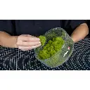 Ensemble Gras-Master 4.0 PROFI - Noch 60125 - Échelle universelle - 7