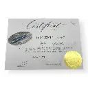 Locomotive diesel CC 70001 - Ree Modèles CC70001S - HO 1/87 - SNCF - Ep III - Digital sound fumigène - 2R - 5