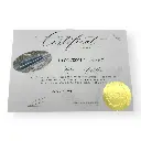 Locomotive diesel CC 70001 - Ree Modèles CC70001SAC - HO 1/87 - SNCF - Ep III - Digital sound fumigène - 3R - 5