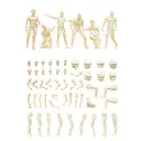 Personnages masculins à peindre - PREISER 58000 - 1/25 - 2