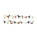 Pack de Poules et Coqs - Preiser 14168 - HO 1/87  - 2