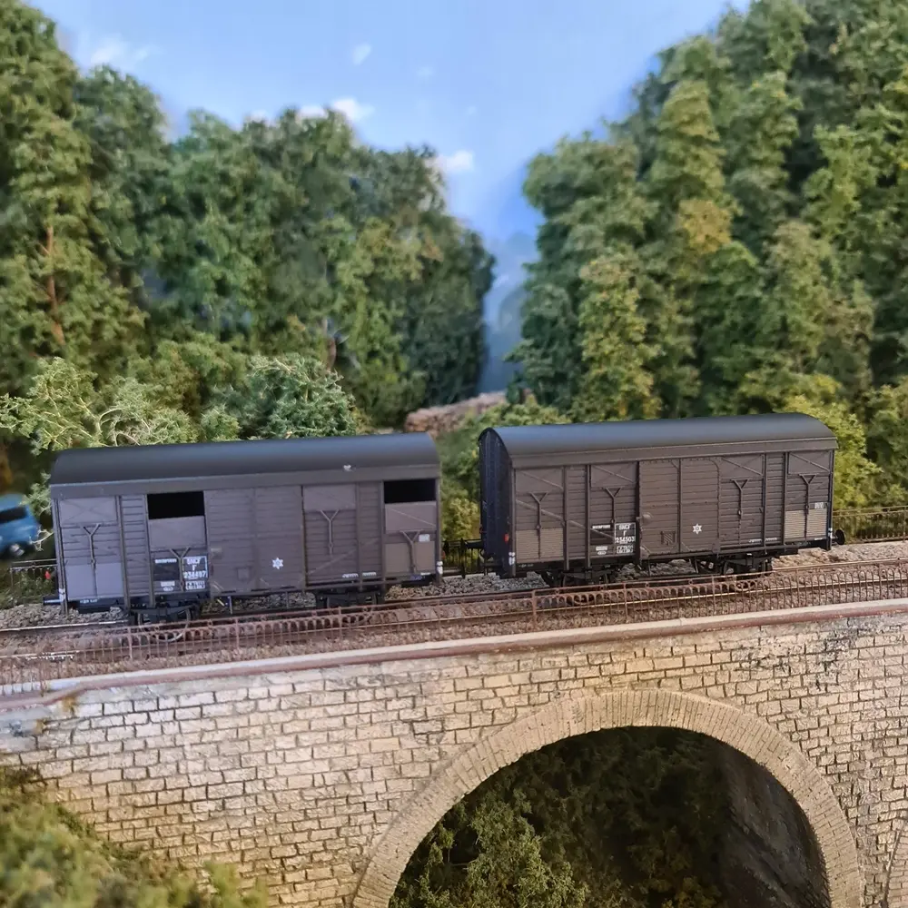 Set 2 Wagons ex-couverts primeurs 20T PLM REE Modèles WB739 - HO 1/87 - SNCF - EP III - 4