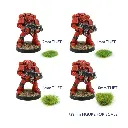 100 touffes d'herbe statique morte 6mm - WWScenics SGTDED06 - Échelle universelle - 5