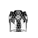 Voiture Analogique shelby Cobra 289 CSX2201 Yeux de serpent - SCALEXTRIC 4417 - 1/32 - Super Slot - 5