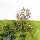 Boîte d'arbres de taille variée Seafoam - WWSCENICS WSTR-024  - 5