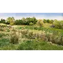 Fibres beiges "paille" - Woodland Scenics FG171 - 8g - 3