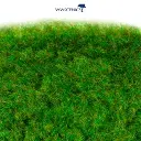 Fibres herbe d'été - WWScenics WSG2-017 - 2 mm - 500 mL - 2