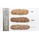 Ballast medium beige - Woodland Scenics B1380 - Toutes échelles - 945 mL - 3