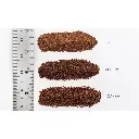 Ballast fin marron - Woodland Scenics B1372 - 945 mL - Toutes échelles - 2