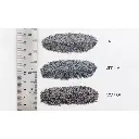 Ballast fin gris 945 mL - Woodland Scenics B1375 - 945 mL - Toutes échelles - 2