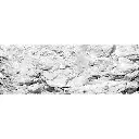 Peinture à décor blanche - Woodland Scenics C1216 - 118 mL - 2