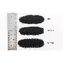 Ballast fin noir cendres - Woodland Scenics B1376 - 945 mL - Toutes échelles - 2