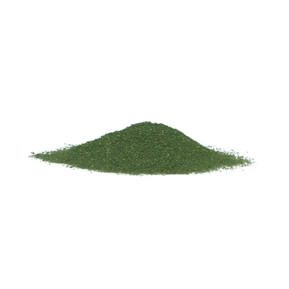 Flocage fin vert - Woodland Scenics T1349 - Toutes échelles - 945 mL - 3