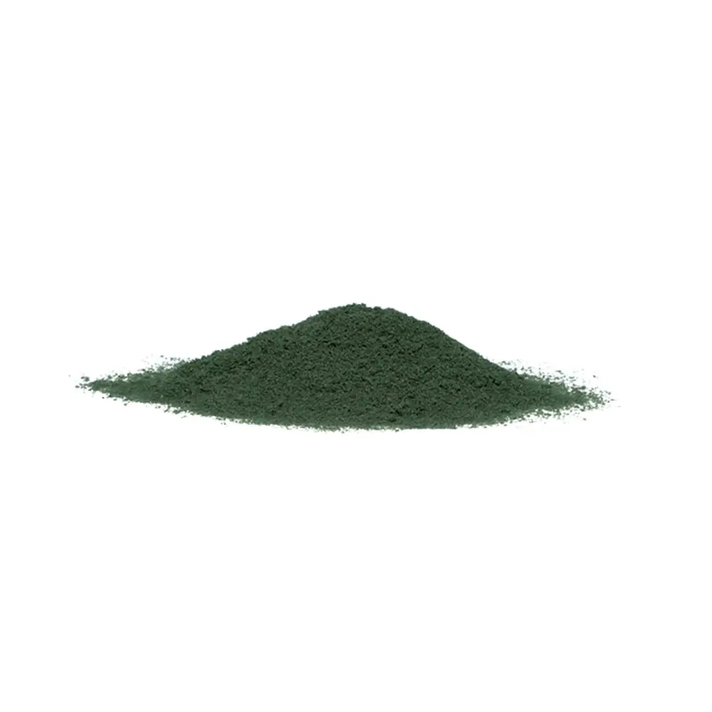 Flocage fin vert - Woodland Scenics T1346 - Toutes échelles - 945 mL - 3