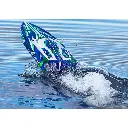 Offshore Spartan SR VXL 6S Rouge RTR - Traxxas 103076-4-GRN - 6