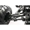 Buggy électrique - Pirate Stormer - T2M T4976 - 1/10 - 4WD - 4