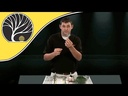 youtube - [Video]